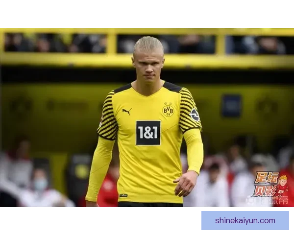 哈兰德持续展现强劲火力，成为足坛进球机器表现亮眼