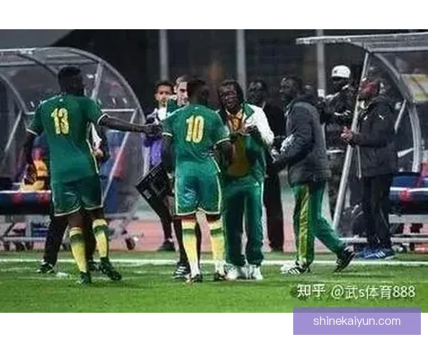 非洲杯门票发售启幕，球迷争相抢购精彩赛事，备受期待